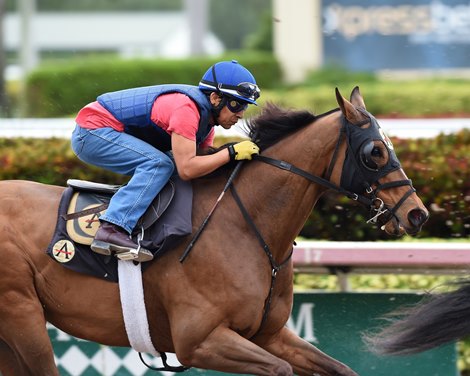 Something Awesome - Morning - Gulfstream Park - 012019
