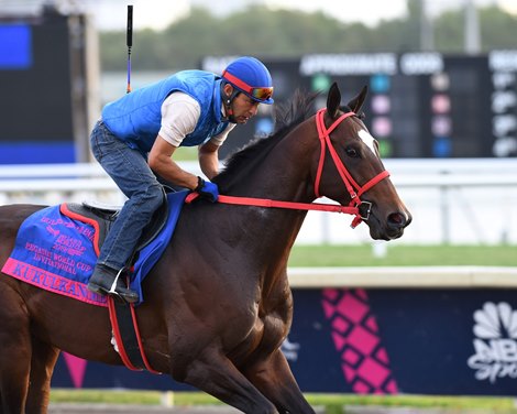 Kukulkan - Gulfstream Park - 012419