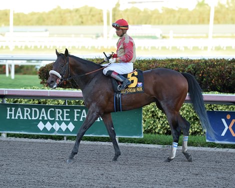 Mihos wins the 2019 Mucho Macho Man at Gulfstream Park