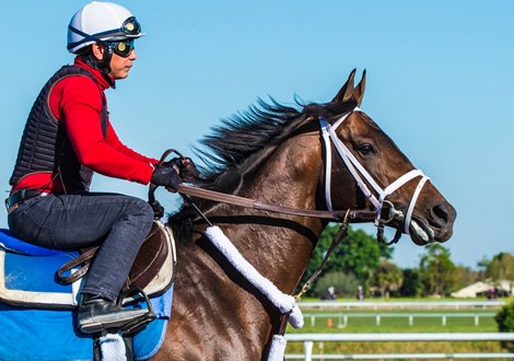 True Timber - Palm Meadows, January 18, 2019