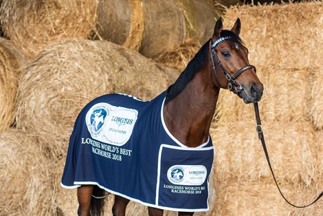 Cracksman Cracksman