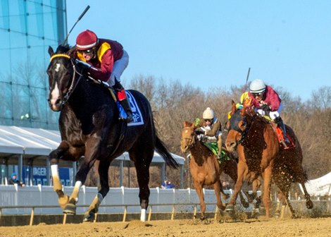 Uncontested wins the 2019 General George Stakes at Laurel Park