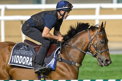 Viddora Al Quoz Sprint , Meydan, Dubai, UAE, 3-28-19