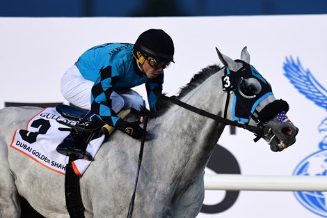 XY Jet and  Emisael Jaramillo win the Dubai Golden Shaheen, Meydan, Dubai, UAE, 3-30-19, photo by Mathea Kelley/Dubai Racing CLub<br><br />
