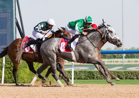 Drafted wins the 2019 Mahab Al Shimaal