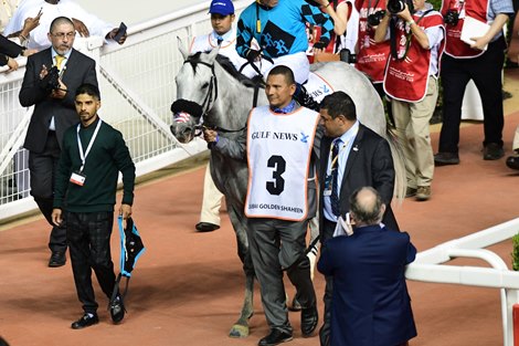 XY Jet and  Emisael Jaramillo win the Dubai Golden Shaheen, Meydan, Dubai, UAE, 3-30-19, photo by Mathea Kelley/Dubai Racing CLub<br>
