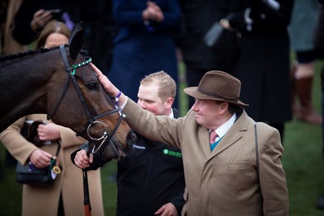 Nicky Henderson after Altior and Nico de Boinville's victory in the Queen Mother Chase at Cheltenham Festival Photo: Patrick McCann / Racing Post 13.03.2019
