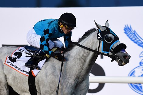 X Y Jet wins the 2019 Dubai Golden Shaheen