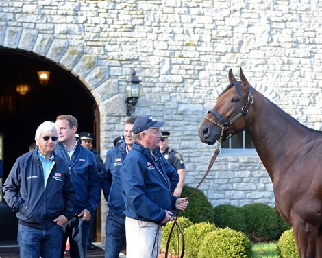 American Pharoah with Stallion Manager Richard Barry, Bob Baffert, MV Magnier and Dermot Ryan.  American Pharaoh arriving at Ashford Stud in Versailles, Ky. on Nov. 2, 2015.