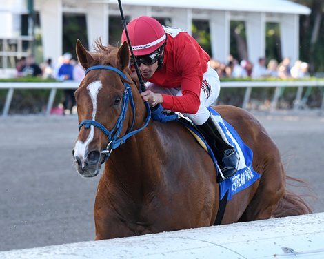 Gladiator King wins 2019 Hutcheson Stakes