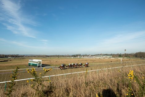 Runners in the 7f handicap race towards the stands. The race was won by Maksab<br><br />
Lingfield 22.2.19 Pic: Edward Whitaker
