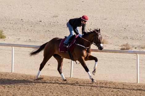 North America breezes for the Dubai World Cup - March 19, 2019