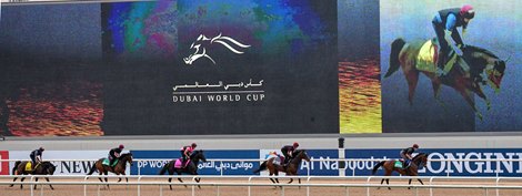 Training Horse O'Brien, Meydan, Dubai, United Arab Emirates, 3-28-19