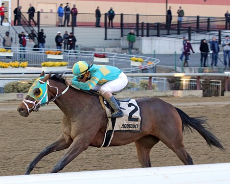 Do Share with Reylu Gutierrez win the 44th Running of The Tom Fool (GIII) at Aqueduct on March 9, 2019