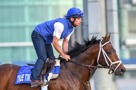 True Timber, Godolphin Mile, World Cup 2019, Meydan, Dubai, UAE, 3-25-19