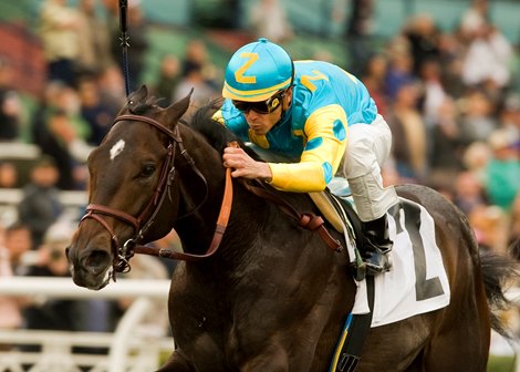 Pioneerof the Nile captures the 2009 Robert B. Lewis Stakes