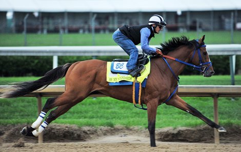 Kentucky Derby 145, April 28, 2019: By My Standards works a half in :48.40 sunday morning at Churchill Downs...<br><br />
&#169; Rick Samuels/The Blood-Horse