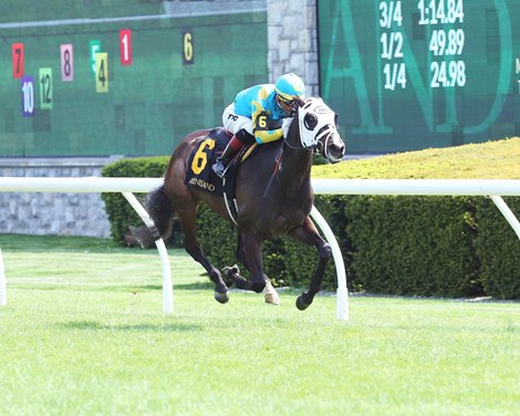 Amandrea wins 2019 Maiden at Keeneland