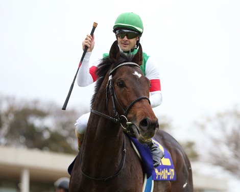 Saturnalia wins 2019 Satsuki Sho