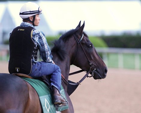 Elate - Oaklawn Park - Gallop - 041119 