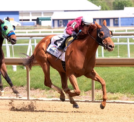 Laki wins 2019 Frank Whiteley, Jr Stakes at Laurel Park