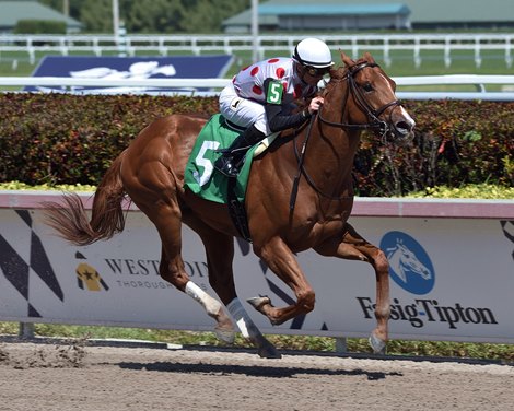 Souper Stonehenge - Maiden Win, Gulfstream Park, March 23, 2019                        