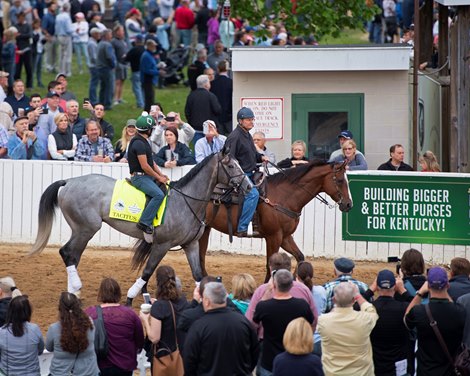 Tacitus, Morning scenes at Churchill Downs during Derby week 2019  April 30, 2019 in Louisville,  Ky. <br><br />
