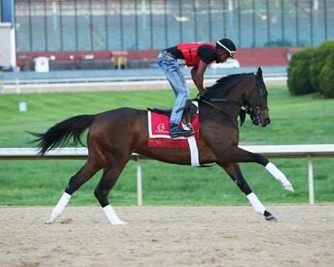Wonder Gadot - Oaklawn Park - Gallop - 041119