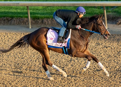 Lady Apple - Morning - Churchill Downs - 042719