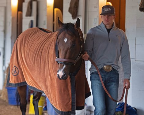 Omaha Beach. Morning scenes at Churchill Downs during Derby week 2019  April 26, 2019 in Louisville,  Ky. <br><br />
