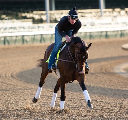 Omaha Beach gallops at Churchill Downs in preparation for the Kentucky Derby