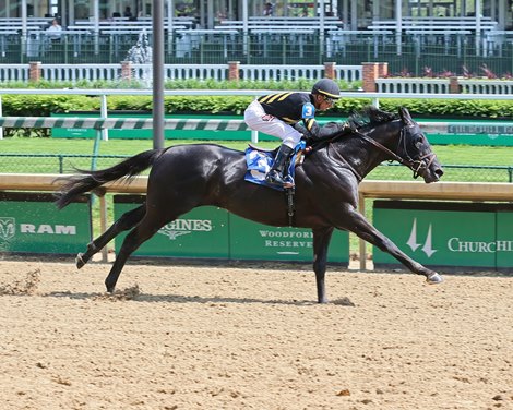 Sonneteer wins the 2019 Champions Day Marathon Overnight Stajes Presented by Thoroughbred Aftercare Alliance