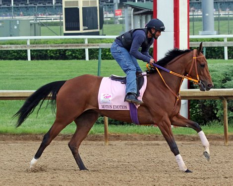 Motion Emotion on the track at Churchill Downs on May 2, 2019