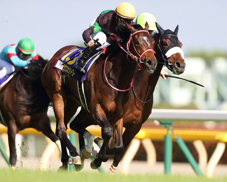 Loves Only You wins the Yushun Himba (Japanese Oaks) at Tokyo Racecourse