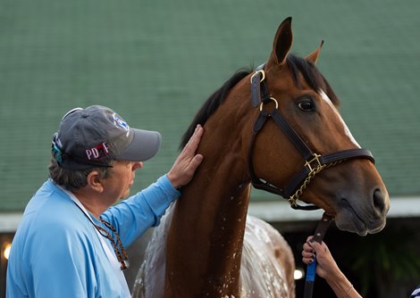 By My Standards and his owner, Chester Thomas, have a quiet moment together during Derby Week