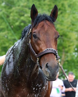 Haikal at Churchill Downs on May 1, 2019