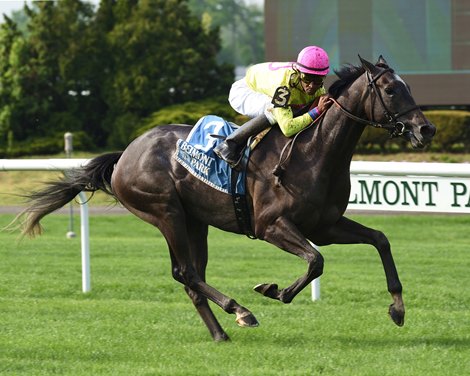 Olympico (FR), Kendrick Carmouche, Fort Marcy Stakes, G3T, Belmont Park, May, 4, 2019, 150K