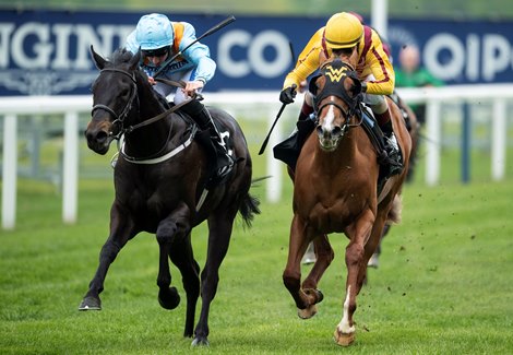 The winner Ventura Rebel (Paul Hanagan,left) beats Lady Pauline (John Velazquez)  in the 2019 Irish Thoroughbred Marketing Royal Ascot Two-Year-Old Trial Conditions Stakes Ascot 1.5.19