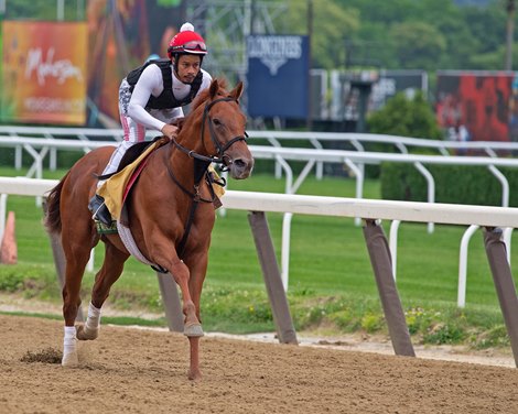 Sir Winston Mornings at Belmont Park June 5, 2019 in Elmont,  NY. 