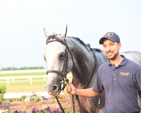 Pure Sensation wins 2019 Pennsylvania Governor&#39;s Cup Stakes at Penn National