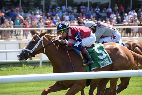 Kid is Frosty wins 2019 New York Stallion Stakes at Belmont Park