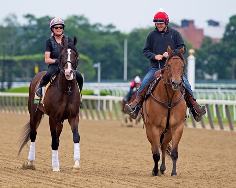 War of Will with Kim Carroll<br><br />
Mornings at Belmont Park June 5, 2019 in Elmont,  NY. <br><br />
