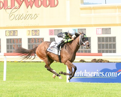 Dynatail wins 2019 Susquehanna Stakes at Penn National