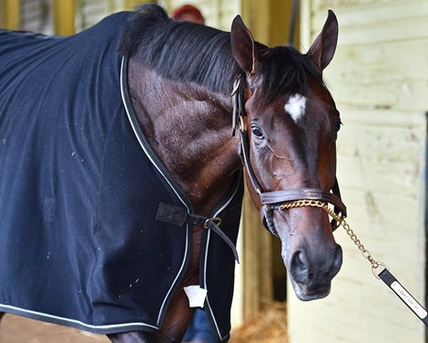 Tax Mornings at Belmont Park June 5, 2019 in Elmont,  NY.