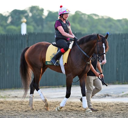 June 7, 2019: War Of Will, Kim Carroll up