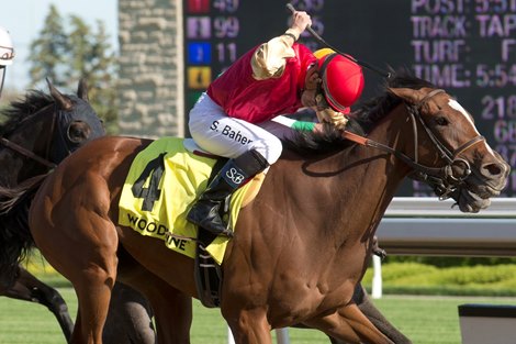 Toronto Ont.June 8, 2019 Woodbine Racetrack.Woodbine Oaks.Jockey Steven Bahen guides Desert Ride to victory in the $500,000 dollar Woodbine Oaks at Woodbine.Desert Ride is owned by Sam-Son Farm of Milton Ontario and trained at Churchill Downs by Neil Howard. michael burns photo