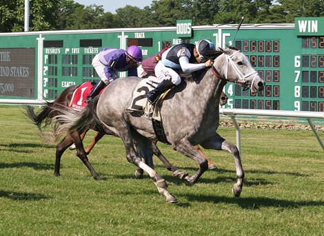 Valiance #2 with Nik Juarez riding won the Open Mind Stakes at Monmouth Park Racetrack in Oceanport, NJ on Sunday June 30, 2019.  Photo By Bill Denver/EQUI-PHOTO