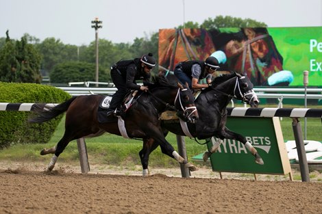 Intrepid Heart (inside) works at Belmont Park June 1