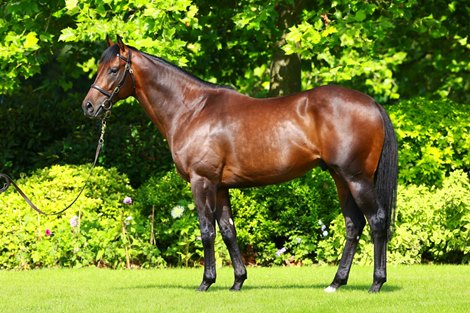 Muhaarar Conformation at Shadwell