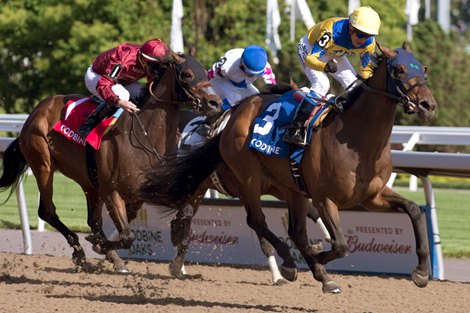 Toronto Ont.June 8, 2019 Woodbine Racetrack.Plate Trial Stakes.Jockey Luis Contreras guides Pay for Peace to victory in the $125,000 dollar Plate Trial stakes for owner Team Penney Racing and Carem Stables and trained by Rachel Halden. michael burns photo